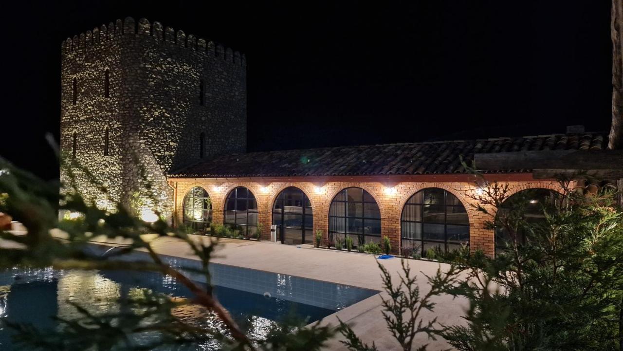 Giorgi Ushikishvilis Chateau-Marani Akhmeta Экстерьер фото