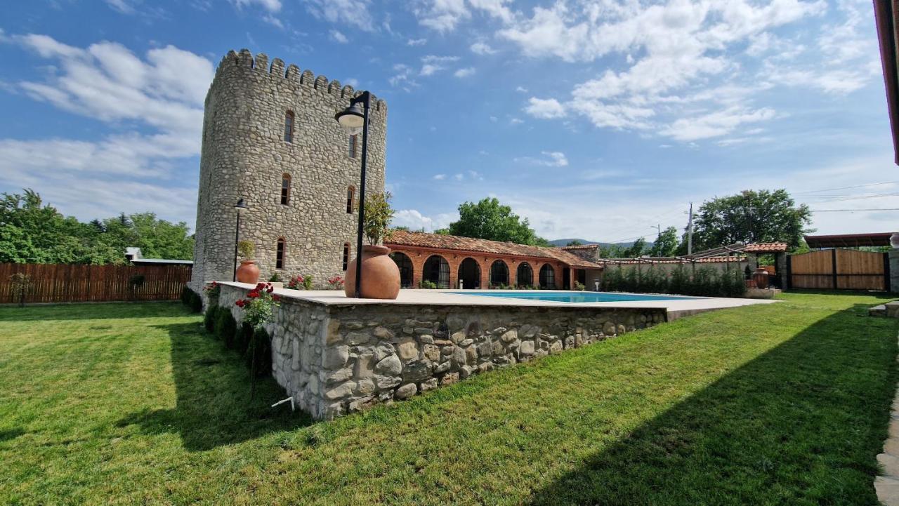 Giorgi Ushikishvilis Chateau-Marani Akhmeta Экстерьер фото