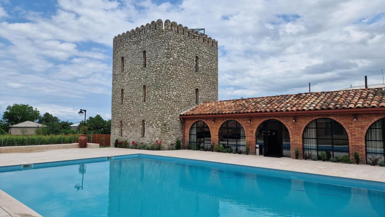 Giorgi Ushikishvilis Chateau-Marani Akhmeta Экстерьер фото