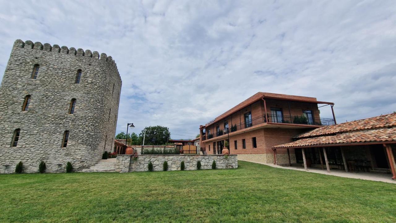 Giorgi Ushikishvilis Chateau-Marani Akhmeta Экстерьер фото
